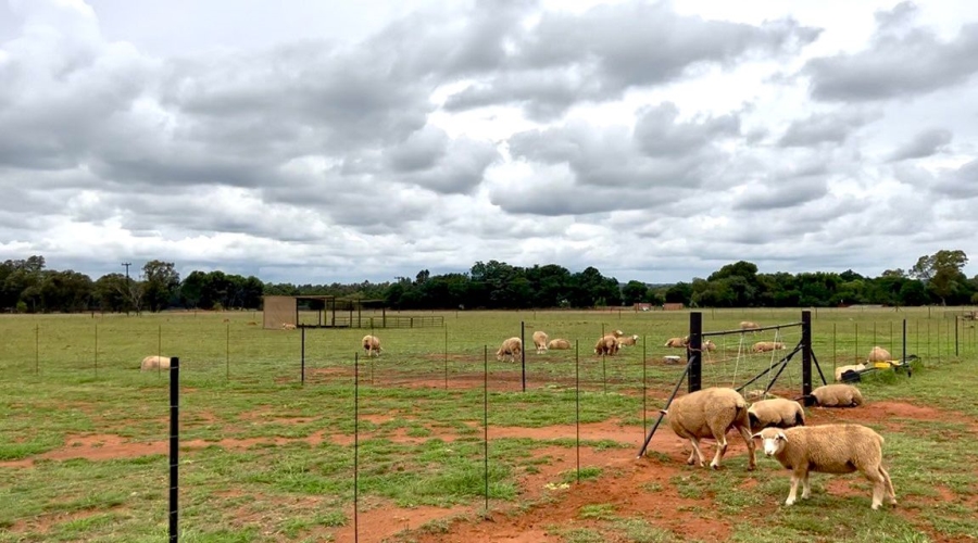 3 Bedroom Property for Sale in Bainsvlei Free State